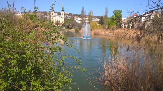 Alb�rlet kiad� Bud�n XI.ker�letben