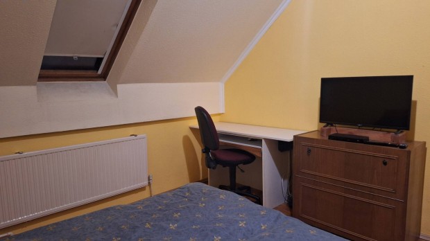 Alb�rlet kiad� lak�s 