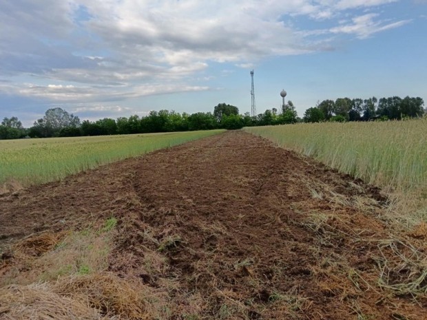 Albertirsa, Lakott utchoz kzel, 2074m2-es sznt elad utca, 1308