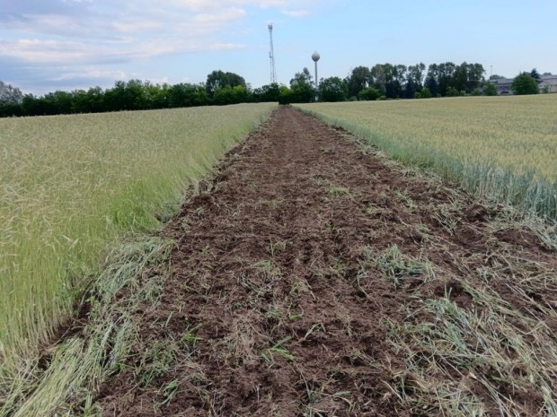 Albertirsa, Lakott utchoz kzel, 2074m2-es sznt elad utca, 2074