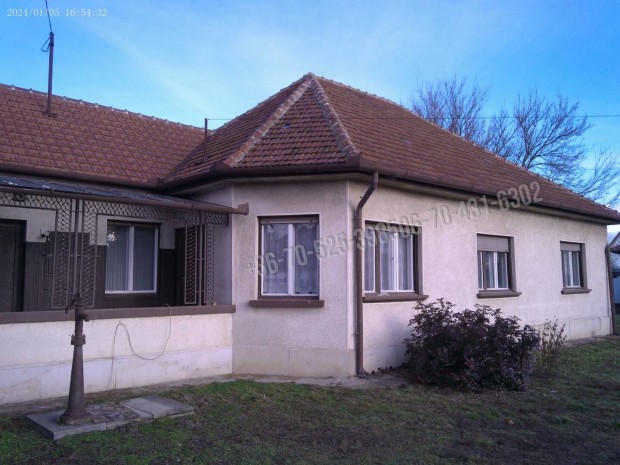 Albertirs�n t�gas csal�dih�z elad�.