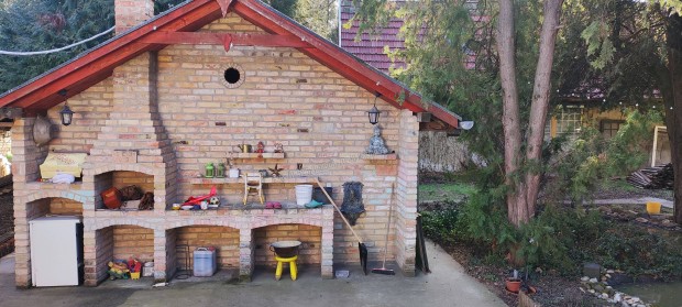 Albertirs�n z�ld�vezeti ingatlan elad�