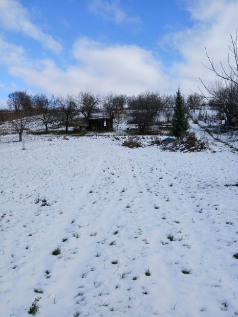 Alcstdobozon elad tanynak val panorms zrtkert sok extrval!