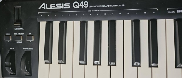 Alesis Q 49 midibillenty