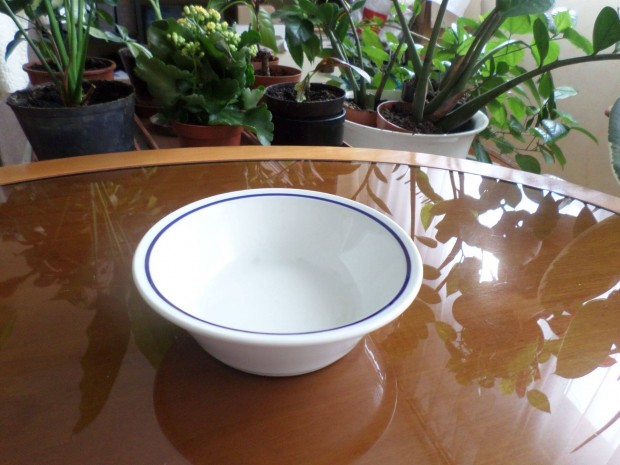 Alföldi porcelán tál fehér alapon kék csíkkal . jelzett! 699 Ft