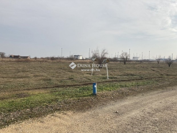 Algyői 82816 nm-es ipari ingatlan eladó