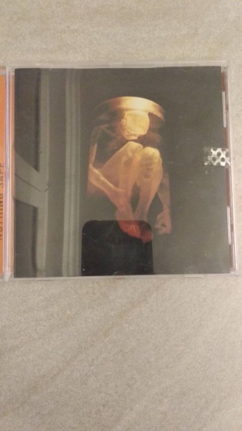 Alice in Chains Nothing Safe CD 