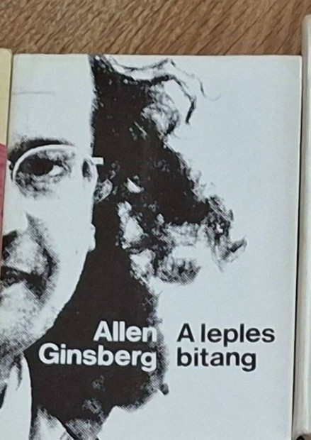 Allen Ginsberg : A leples bitang