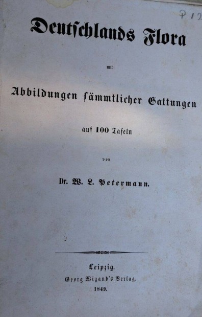 Allgemeine Geschichte der neuesten Zenit 1837