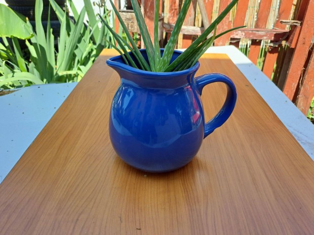 Aloe Vera magasfényű zománcozott porcelán kancsóban eladó! ára 1990Ft