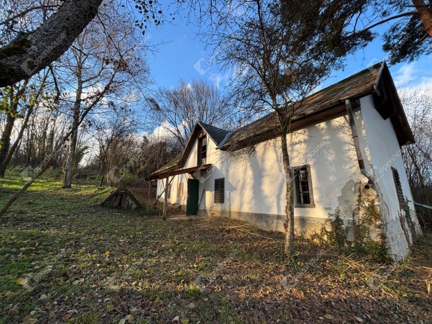 �lom a term�szet �lel�s�ben  1 hekt�r lehet�s�g Nemesr�d�n!