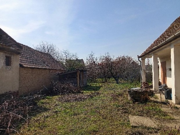 Als�n�medi, Haraszti �t, 834 m2-es, telek