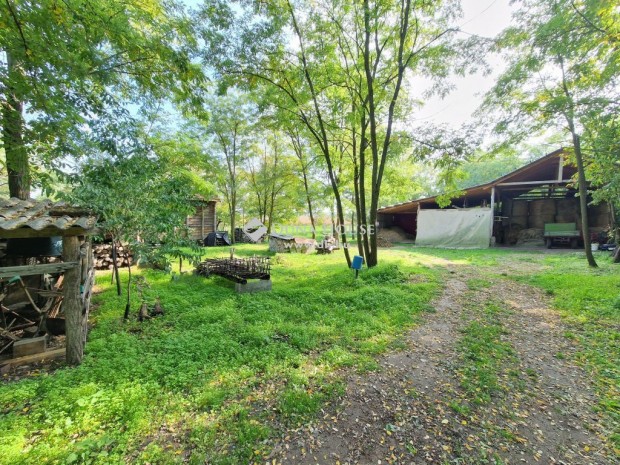 Als�szentiv�ni 70 nm-es h�z elad�