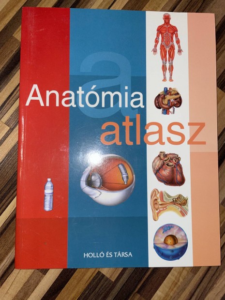 Anatmia atlasz