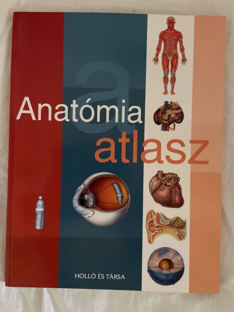 Anatmia atlasz 