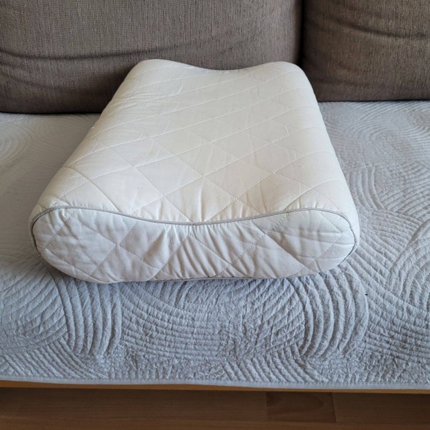 Anatmiai, ergonmiai prna