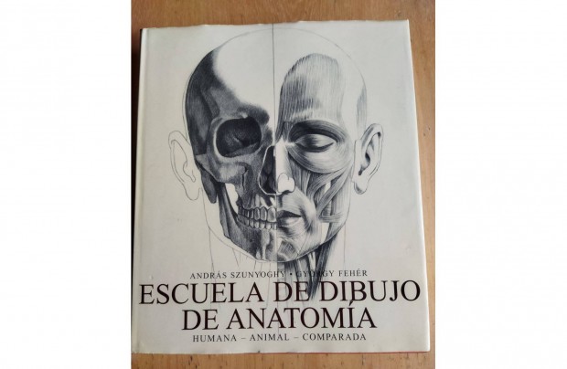 Andrs Szunyoghy Escuela De Dibujo De Anatomia