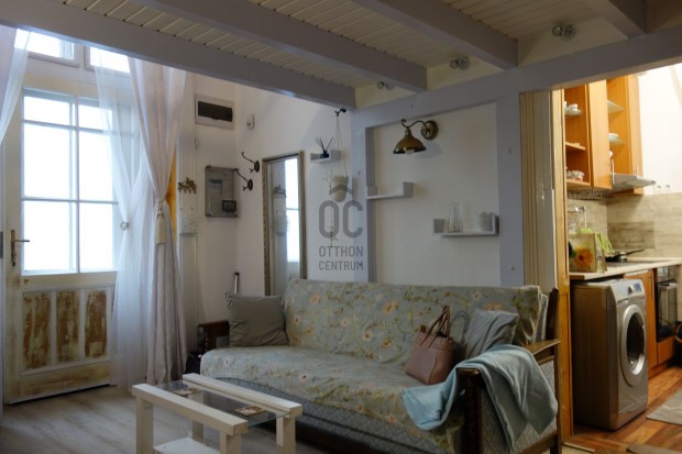 Andr�ssy �ti garzon!