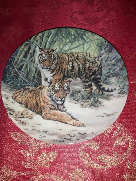 Angol fali porceln dsztnyr tigris klykkkel - Vitrin llapotban