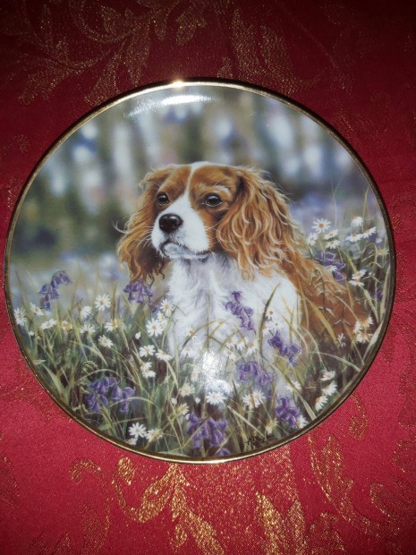 Angol porceln dsztnyr aranyos Cavalier spniel kutyussal- Vitrin