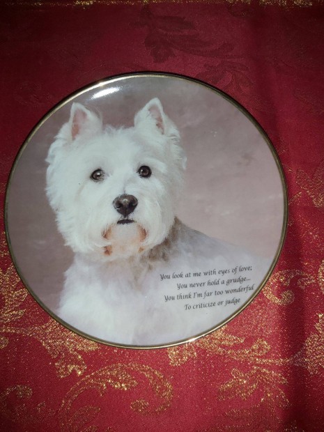 Angol porceln dsztnyr aranyos Westie kutyussal- Vitrin llapotban
