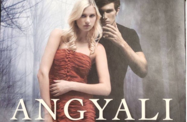 Angyali gonosz - Wendy Higgins könyv eladó