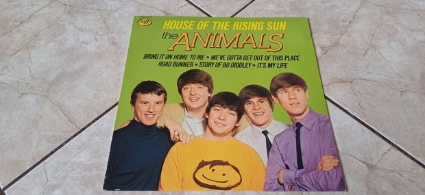 Animals bakelit hanglemez