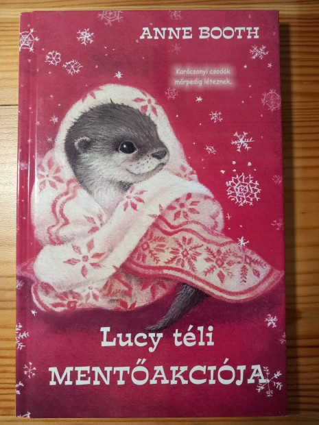 Anne Booth: Lucy téli mentőakciója