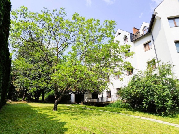 �pol�, gondoz�