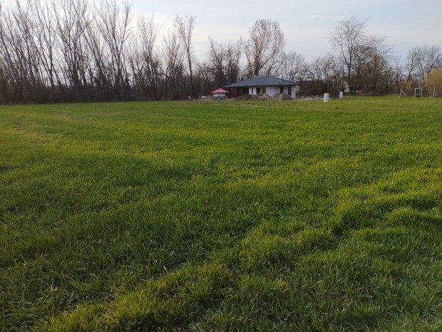 �porka, Pet�fi utca, 950 m2-es, telek