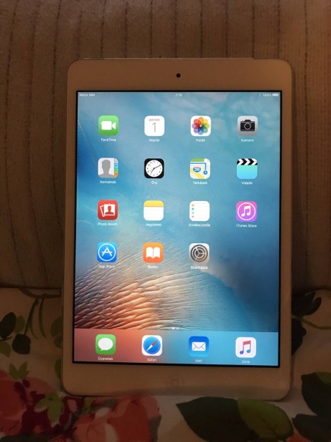 Apple Ipad Mini 32GB Tablet- Fix 15eft ?!