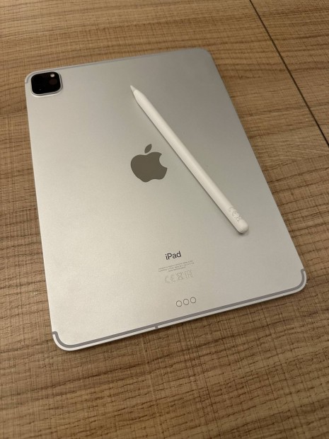 Apple Ipad Pro 11 2020 256Gb Wifi + Cellular, Apple Pencil 2!