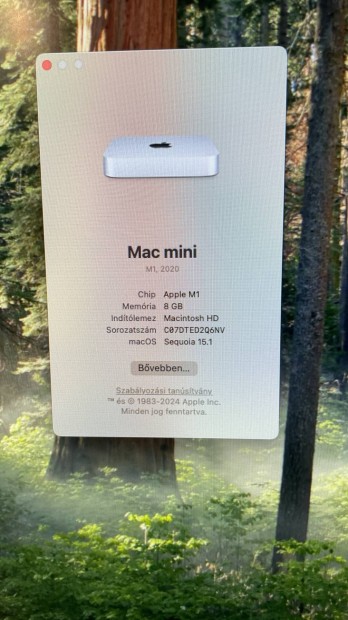 Apple Mac mini M1 (8/256) jszer