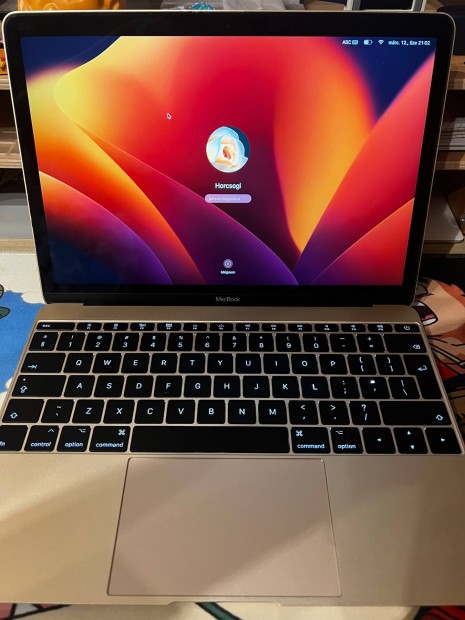 Apple Macbook 12" (Mid-2017) A1534