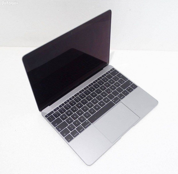 Apple Macbook A1534 notebook laptop Hibs