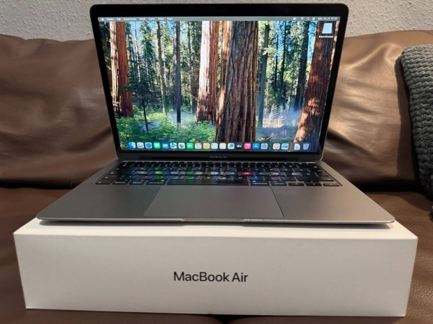 Apple Macbook Air 2020