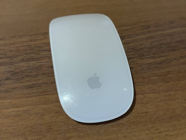 Apple Magic Mouse 1 egr