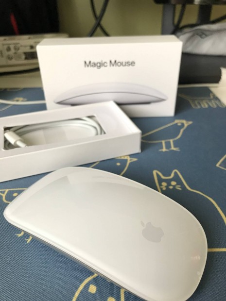 Apple Magic mouse 2 fehr