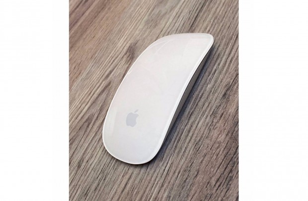Apple Magick Mouse wireless egr