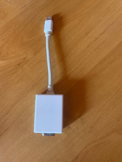 Apple Mini Displayport to VGA Adapter