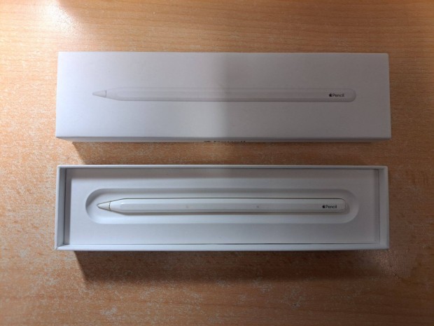 Apple Pencil 2 rintceruza Fehr Garis !