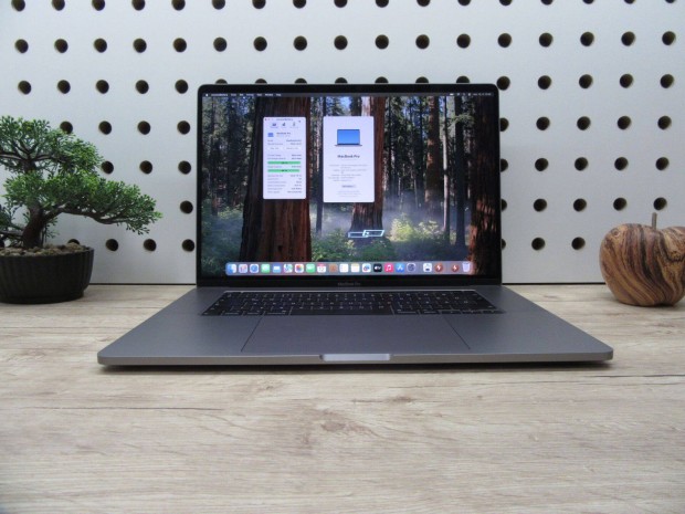 Apple Retina Macbook Pro 16 - 2019 - Hasznlt, megkmlt