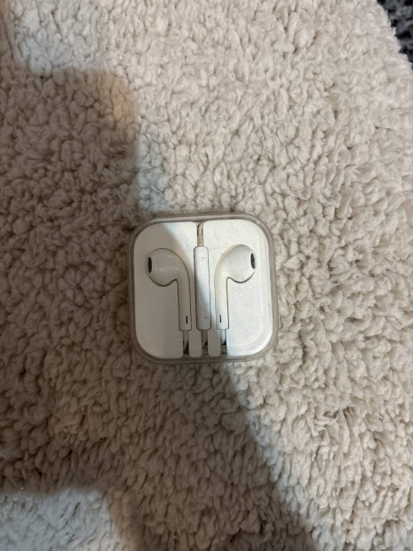 Apple earpods