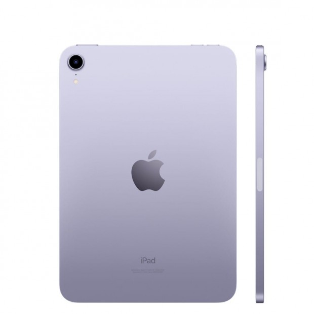 Apple iPad Mini 6 (256GB)  - Akku: 100% - Szn: Lila