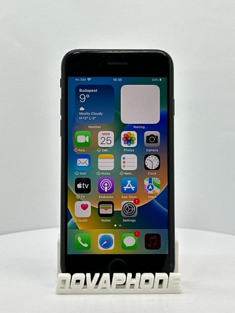 Apple iPhone SE 2020 (64GB)  - Akku: 100% - Szn: Fekete