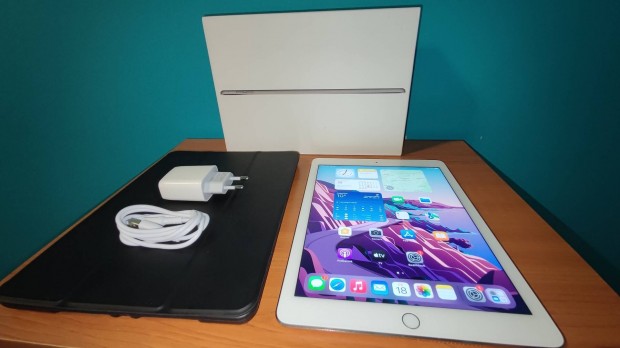 Apple ipad Air 2 akku 100%