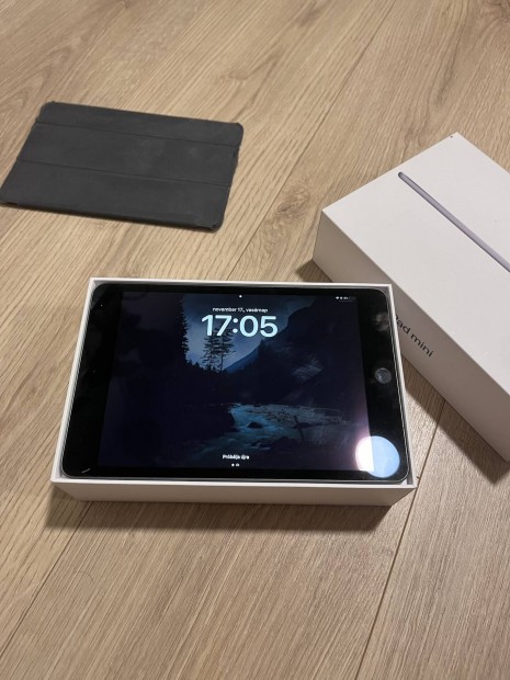 Apple ipad Mini 5