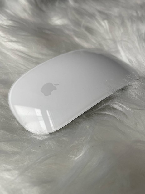 Apple magic mouse