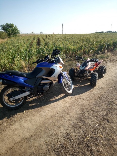 Aprilia pegaso 650 !