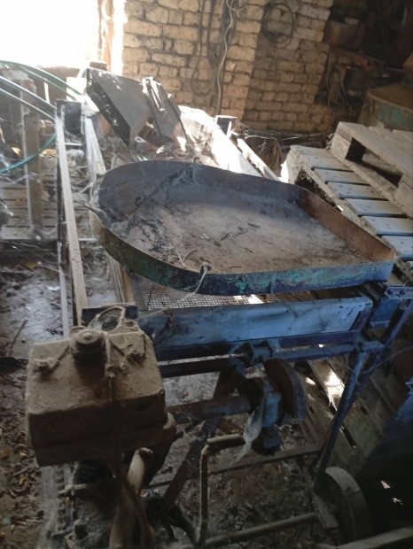 Apró hagyma rosta eladó